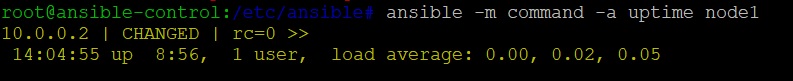 ansible command